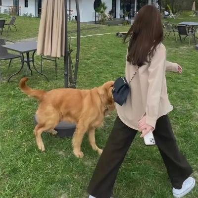 玉女私情