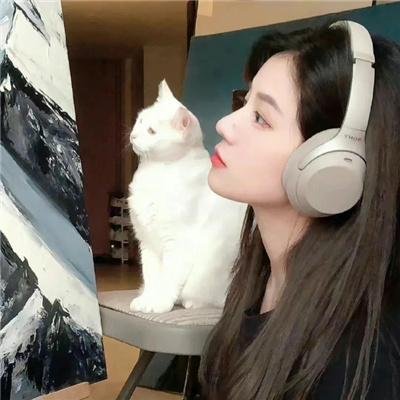 宫锁珠帘